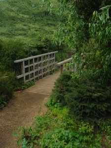 Paths Of Righteousness