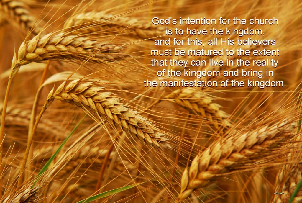 La intención de Dios para la iglesia es tener el reino, y para ello, todos los creyentes deben madurar hasta el punto de que puedan vivir en la realidad del reino de Dios y traer a la manifestación del reino.