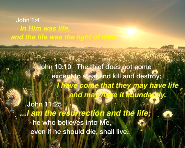 john-1-4-10-10-11-25-Christ-is-life.jpg