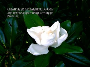 Create In Me A Clean Heart O God And Renew A Steadfast Spirit A Right Spirit Within Me