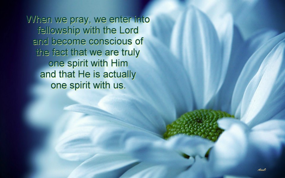 fellowship persevering