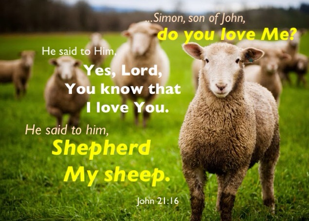 The Lord Flocks us Together, Shepherds us, and Commissions us to Shepherd  Others - A God-man in Christ