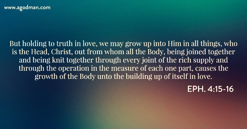 christ church growth building grow things head him eph growing being together members increase god desires would