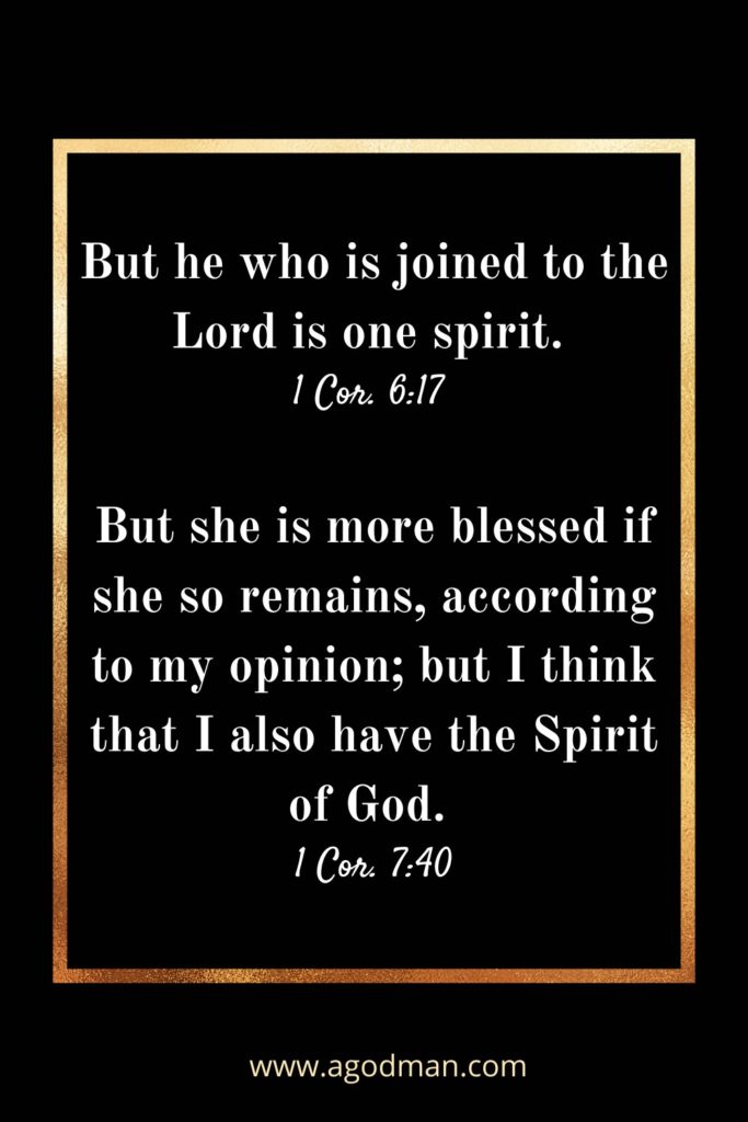 one on one spirit one on one spirit
