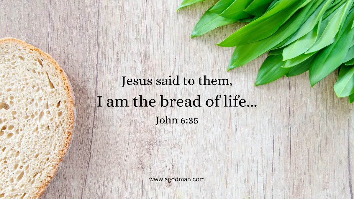 God s Economy Is That We Eat Christ As The Bread Of God the-ultimate-ranking-of-store-bought-whole-grain-breads