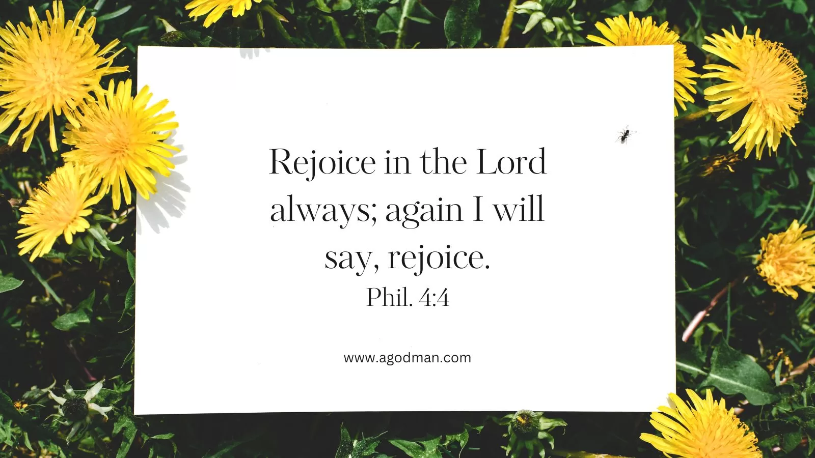 Rejoice In The Lord Always {Banner of Victory} Rejoice In The Lord Always {Banner of Victory}